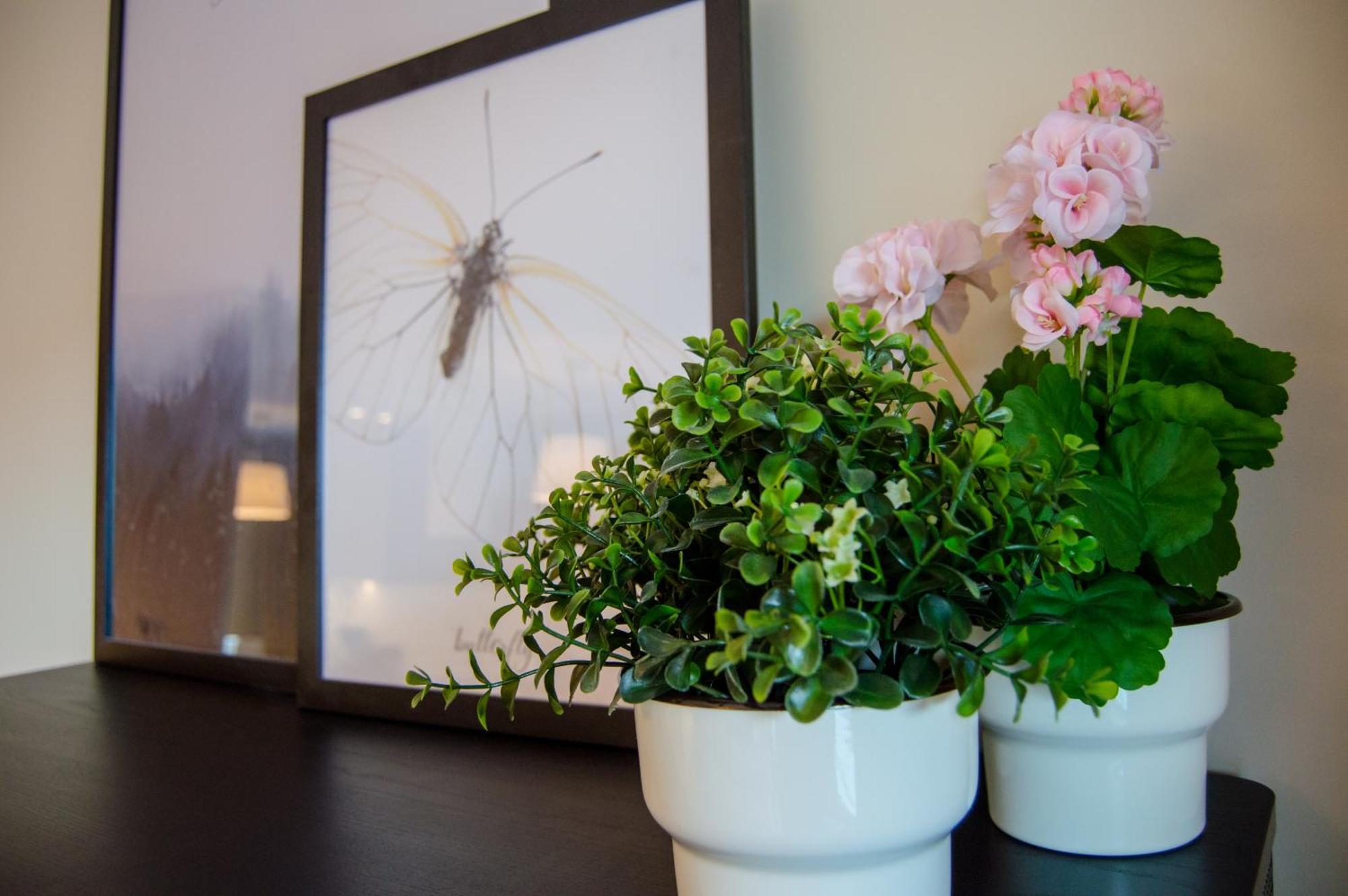 Grand Apartments - Apartments Spa Waterlane Island Gdańsk Extérieur photo